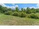 Grassy backyard bordered by lush trees at 214 Monroe Cir, Davenport, FL 33896