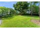 Lush green backyard with mature trees, offering a serene and private outdoor space at 9743 Chestnut Ridge Dr, Windermere, FL 34786