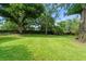 Expansive backyard featuring lush green grass and mature trees, perfect for outdoor activities at 9743 Chestnut Ridge Dr, Windermere, FL 34786