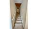 Carpeted staircase leading to the upper level of the home with neutral colored walls at 10350 Lake District Ln # S, Orlando, FL 32832