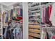 Walk-in closet with organized shelving, hanging rods, and drawers for ample storage at 391 Cabello Dr, Davenport, FL 33837