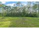 Expansive backyard with lush lawn and wooded views offers plenty of space for outdoor activities at 3941 Willowbrook Dr, Edgewater, FL 32141