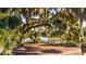 Scenic view of a lake with lush greenery and mature trees draped with Spanish moss at 859 Easley Ave, Winter Garden, FL 34787