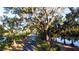 Picturesque walking path alongside the lake with trees draped in Spanish moss at 859 Easley Ave, Winter Garden, FL 34787