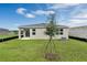 Expansive backyard with a young tree, modern home, and bright green grass under a cloudy blue sky at 928 Pearlwood Loop, Eagle Lake, FL 33839