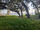Scenic lake view with trees draped in Spanish moss and a wooden dock, evoking a serene and natural setting at 10012 Lake Louisa Rd, Clermont, FL 34711