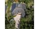 Aerial view of a home showing the roof, solar panels, driveway, and lush landscaping at 140 Seville Chase Dr, Winter Springs, FL 32708