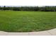 Lush green grass of an open field extending to the tree line in the distance at 15208 Avenue Of The Arbors, Winter Garden, FL 34787
