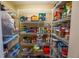 A well-organized pantry with metal shelving and ample storage space for food items at 1550 Kevin Ln, Deland, FL 32724