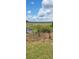Beautiful backyard view featuring lush greenery and a scenic wetland expanse at 1717 Se 190Th Ave, Silver Springs, FL 34488