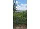 Backyard featuring lush greenery, a chain-link fence, and scenic views at 1717 Se 190Th Ave, Silver Springs, FL 34488