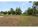View of a spacious backyard with a large grassy area, surrounded by trees and a fence line at 2549 Gress Ln, Lakeland, FL 33805
