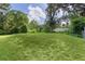Expansive and well-maintained backyard with lush green grass, surrounded by mature trees and greenery at 2597 Cr 426F, Lake Panasoffkee, FL 33538