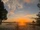 Beautiful sunset view over a lake with lily pads, a dock and Orlando skyline at 9062 Dancy Tree Ct, Orlando, FL 32836