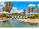 Beautiful backyard pool with lounge chairs and umbrellas, perfect for relaxation at 11103 Bridge House Rd, Windermere, FL 34786