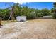 Large backyard featuring a trailer and perimeter trees at 209 N 14Th St, Leesburg, FL 34748