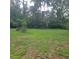 Large grassy backyard filled with trees and greenery perfect for outdoor enjoyment and relaxation at 3305 Robinson St, Zellwood, FL 32798