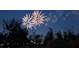 Spectacular fireworks display lighting up the night sky with bursts of color at 14474 Prunningwood Pl, Winter Garden, FL 34787