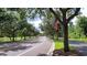 Scenic tree-lined street adorned with American flags, offering a patriotic touch to the neighborhood at 14474 Prunningwood Pl, Winter Garden, FL 34787