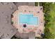 Aerial view of a sparkling community pool surrounded by lounge chairs and sun umbrellas at 14474 Prunningwood Pl, Winter Garden, FL 34787