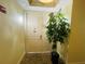 Condo entrance featuring a neutral color palette, textured carpet, and a lush decorative plant at 1925 S Atlantic Ave # 411, Daytona Beach, FL 32118