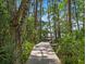 Scenic boardwalk winds through lush greenery, leading to a charming property amidst a tranquil forest setting at 2750 Lee Shore Loop, Orlando, FL 32820