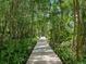 Charming wooden boardwalk meanders through a lush, green forest at 2750 Lee Shore Loop, Orlando, FL 32820