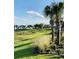 Picturesque view of the community featuring lush green spaces and palm trees, perfect for outdoor activities at 2807 Alder Berry Blvd, Ocoee, FL 34761
