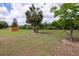 Large grassy backyard featuring trees and space to roam at 32937 Scenic Hills Dr, Mount Dora, FL 32757