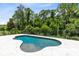 Inviting freeform pool with tiled accents, seamlessly blending into a private backyard oasis with lush landscaping at 8480 Adalina Pl, Orlando, FL 32827