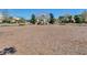 Community playground with swings and slide at 15477 Blackbead St, Winter Garden, FL 34787