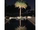 Relaxing pool and patio area illuminated at night at 15779 Tangerine Dream Ct, Winter Garden, FL 34787