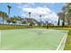 Outdoor community basketball court featuring a green playing surface and lush surroundings at 3281 Saloman Ln, Clermont, FL 34711