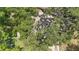 Overhead shot of the home's roof covered by large trees at 881 Cedar Cir, Tavares, FL 32778