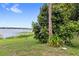 Lush backyard landscaping with a mature fruit tree and tranquil lake views at 942 Beach Breeze Dr, Orlando, FL 32835