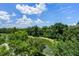 Scenic aerial view of a tranquil pond surrounded by lush trees, creating a serene and peaceful environment at 1200 Ironsmith Dr # 508, Celebration, FL 34747