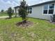 Landscaped yard featuring young trees accented by mulch and providing shade to the property at 1345 Griffon Ave, Lake Alfred, FL 33850