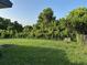 A huge backyard space with a lovely lawn and natural fence line at 2085 San Jose Blvd, Orlando, FL 32808