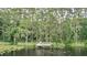 Charming wooden dock surrounded by lush greenery on a tranquil lake with comfortable chairs at 2908 Lee Shore Loop, Orlando, FL 32820