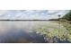 Scenic lake view with lily pads and a charming wooden dock and birdhouse under a blue sky with fluffy clouds at 2908 Lee Shore Loop, Orlando, FL 32820