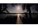 Magical moonlit view of the lake from a wooden dock, framed by Spanish moss and serene waters at 2908 Lee Shore Loop, Orlando, FL 32820