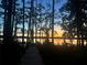 Tranquil lake view at sunset framed by trees, showcasing a wooden dock leading to the serene water at 2908 Lee Shore Loop, Orlando, FL 32820