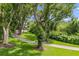 Scenic view of the brick driveway surrounded by mature trees and a well-manicured lawn at 685 Mayo Ave, Maitland, FL 32751