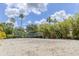 Outdoor sand volleyball court surrounded by lush greenery and palm trees at 7740 Sandy Ridge Dr # 114, Reunion, FL 34747