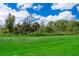 Lush green lawn in the backyard with trees in the background at 110 Claire Ln, Davenport, FL 33837