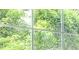 Close up of window with green trees outside at 144 Mandrake St, Orlando, FL 32811