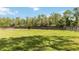 A brown horse is in the grassy pasture that is surrounded by a wood fence at 23647 Seneca Ridge Ct, Christmas, FL 32709