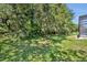 Large lush private backyard, surrounded by mature trees at 384 Old Alemany Pl, Oviedo, FL 32765