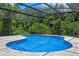 Refreshing in-ground pool within a screened enclosure with tropical landscaping at 1032 Silcox Branch Cir, Oviedo, FL 32765