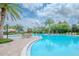 Resort-style pool area with palm trees, comfortable seating, and multiple umbrellas at 13940 Magnolia Ridge Loop, Winter Garden, FL 34787